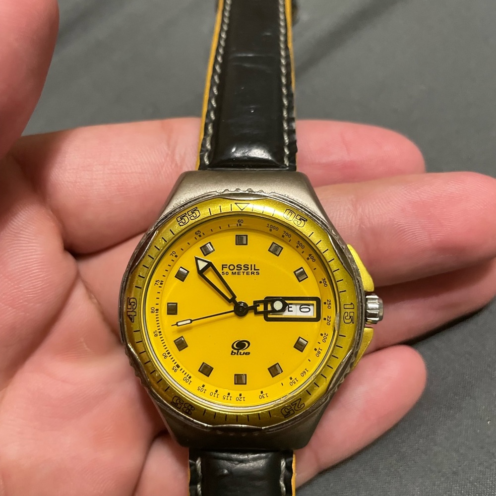Fossil Watch